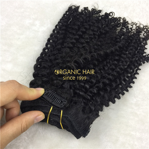 Afro Kinky Curly Clip In Human Hair Extensions